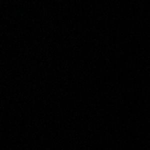 Meet your Posher, Alexus